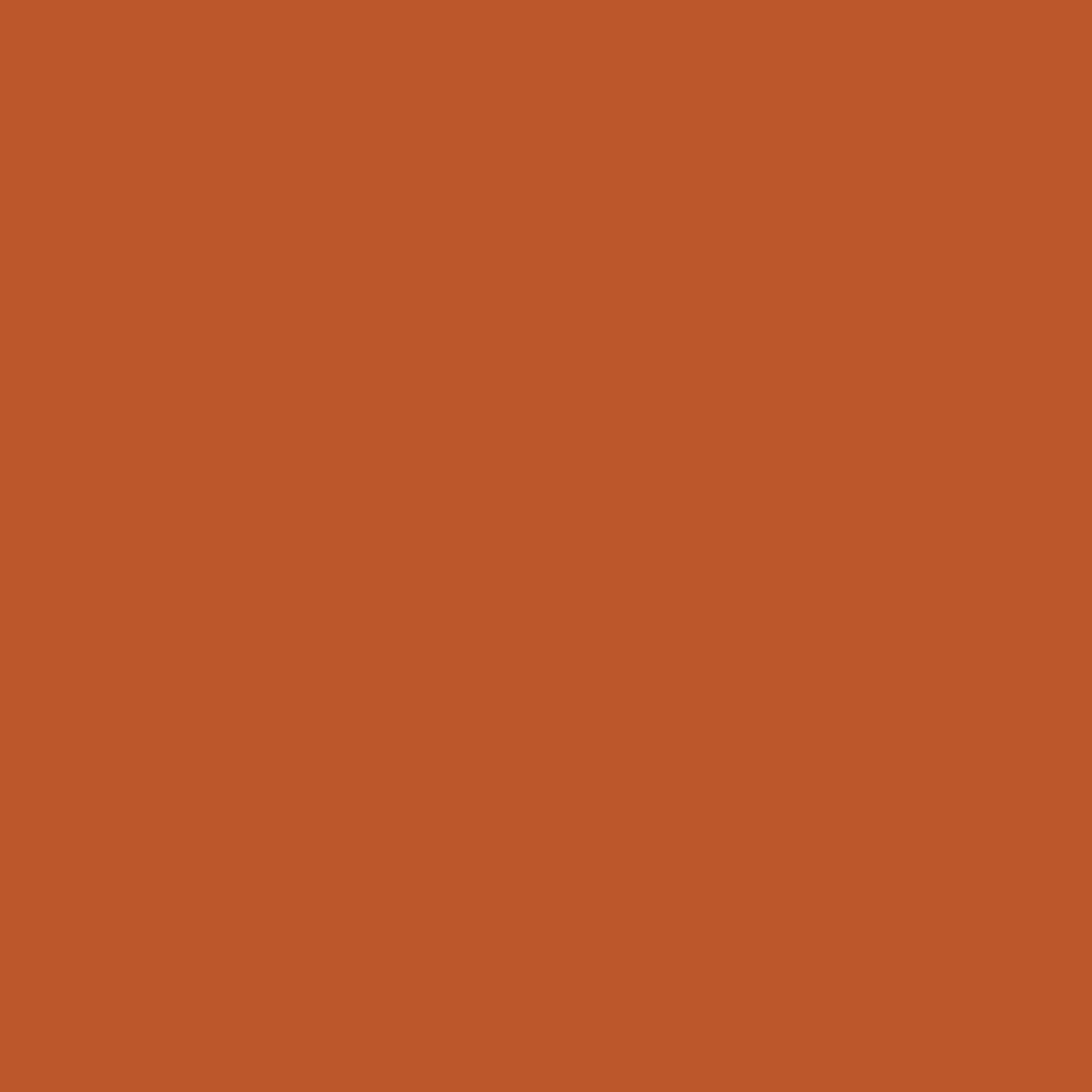 image:imageRustOleum Construction Marking Spray Paint WaterBased White M1400 System 17oz Construction amp survey marking fastdry inverted spray for pavement soil turf amp utilities Pack of 12Fluorescent RedOrange