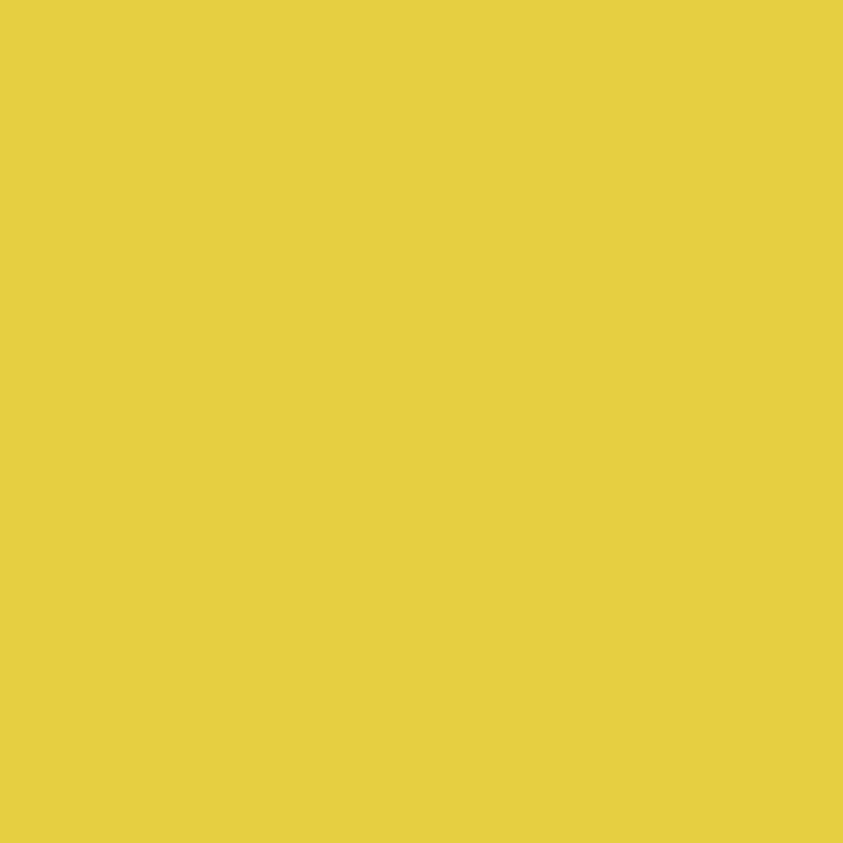 image:imageRustOleum Construction Marking Spray Paint WaterBased White M1400 System 17oz Construction amp survey marking fastdry inverted spray for pavement soil turf amp utilities Pack of 12High Visibility Yellow