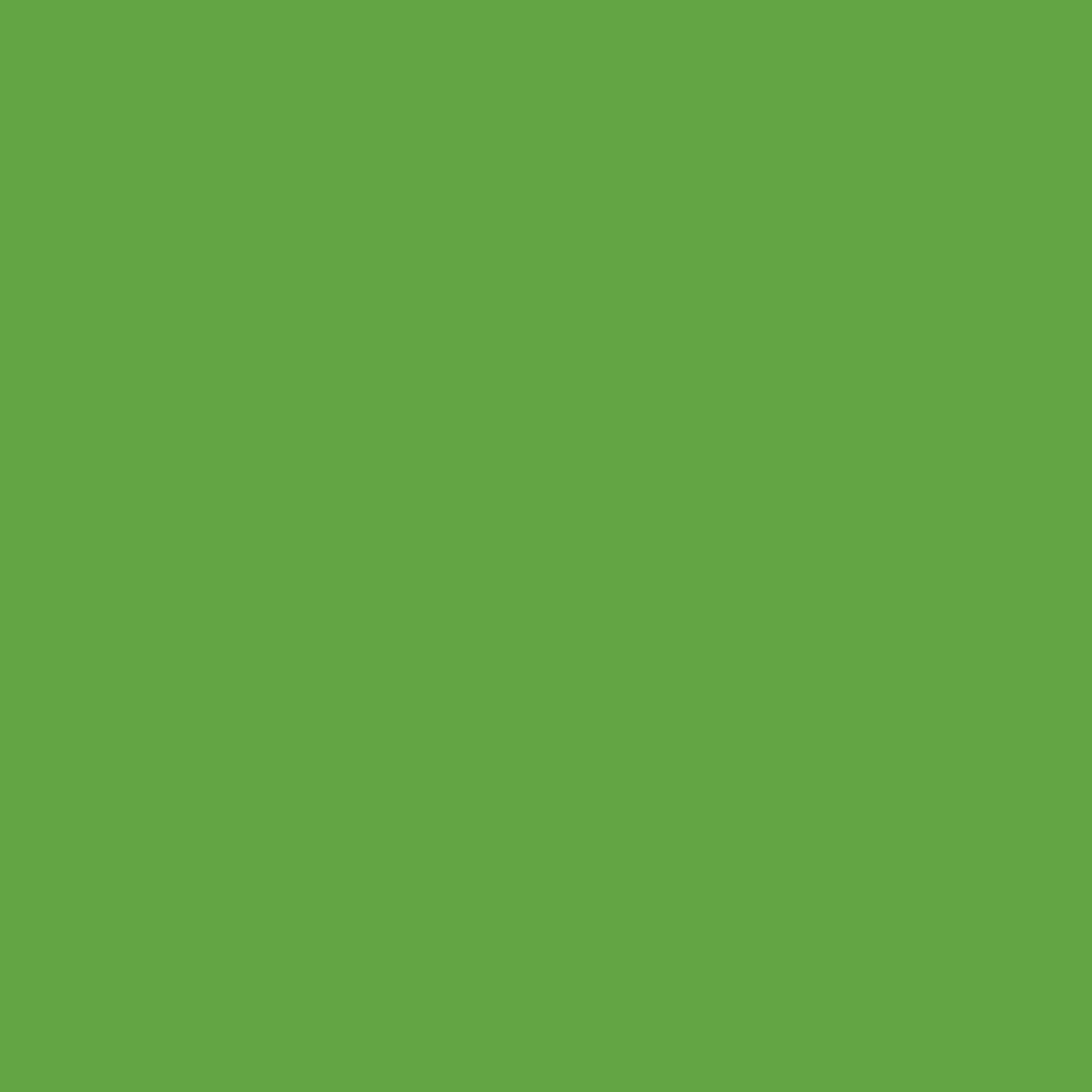 image:imageRustOleum Construction Marking Spray Paint WaterBased White M1400 System 17oz Construction amp survey marking fastdry inverted spray for pavement soil turf amp utilities Pack of 12Fluorescent Green