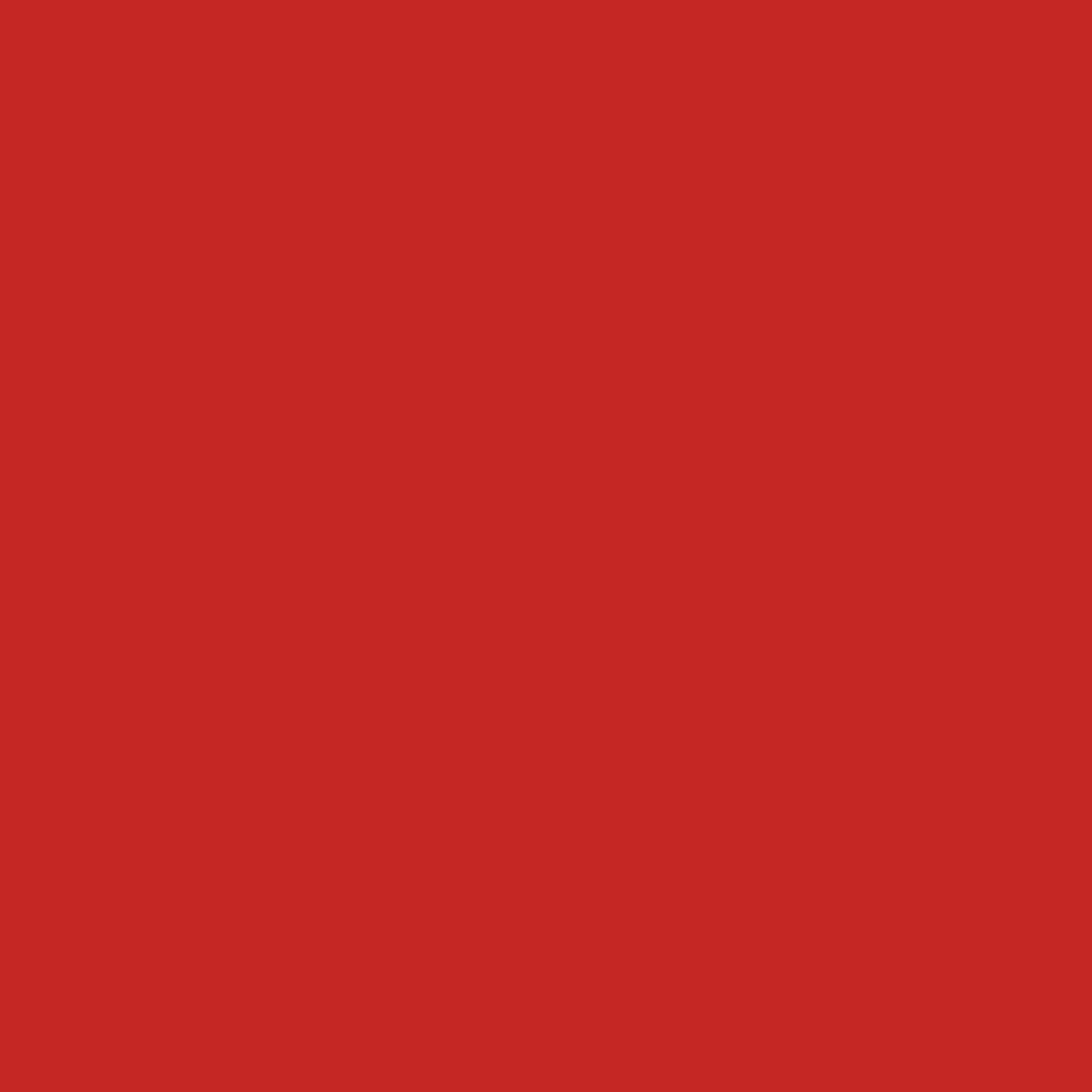 image:imageRustOleum Professional Mega Size Inverted Marking RedOrange Spray Paint Large Area Marking Quarter Mile Coverage Construction And Utility Marking Fewer Can Changes 26 ozSafety Red