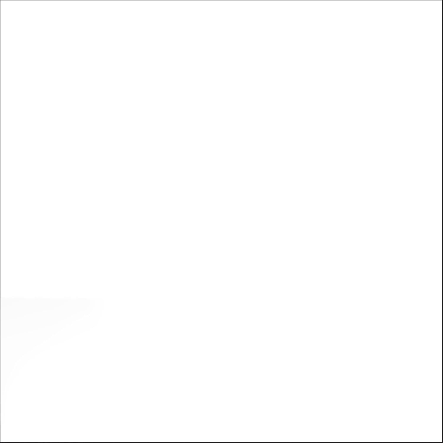 image:imageRustOleum Professional Mega Size Inverted Marking RedOrange Spray Paint Large Area Marking Quarter Mile Coverage Construction And Utility Marking Fewer Can Changes 26 ozClear