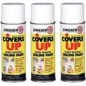 Zinsser Covers Up Ceiling Paint & Primer Spray, White | Zinsser Covers Up ceiling spray, 13oz, Flat White. Flat-white stain-blocking paint + primer hides water & smoke stains.(White (Pack of 3))