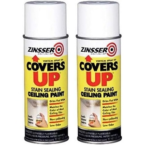 Zinsser Covers Up Ceiling Paint & Primer Spray, White | Zinsser Covers Up ceiling spray, 13oz, Flat White. Flat-white stain-blocking paint + primer hides water & smoke stains.(White (Pack of 2))